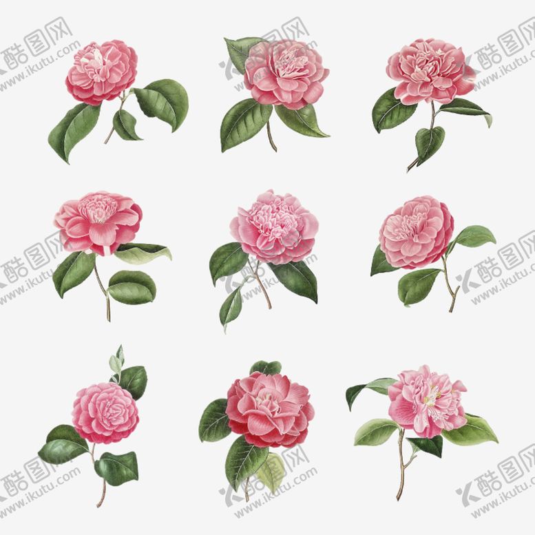 编号：73029409210239465167【酷图网】源文件下载-水彩花