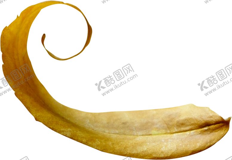 编号：37549910121308011031【酷图网】源文件下载-花边