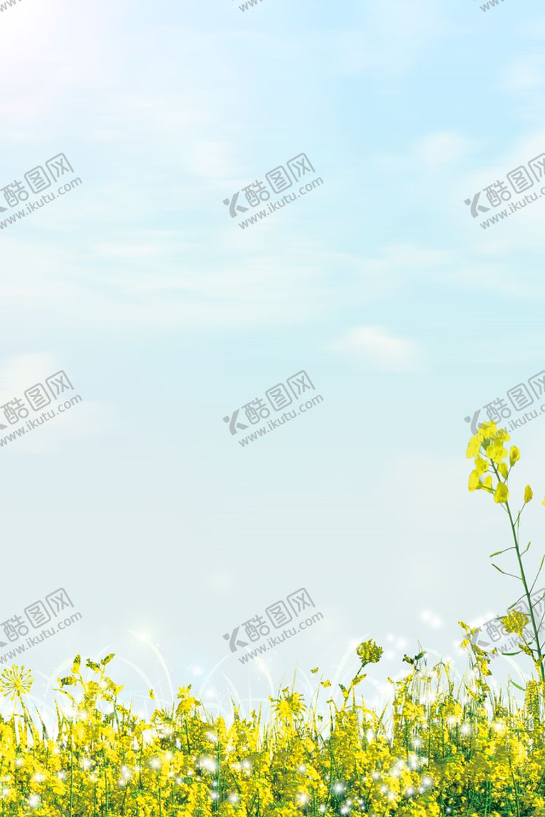 编号：92305310211952163680【酷图网】源文件下载-油菜花
