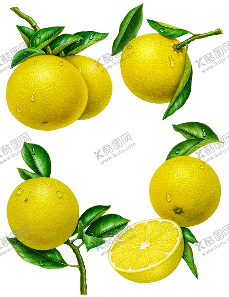 编号：30260407031829503395【酷图网】源文件下载-水果
