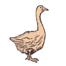 家养动物主题插画