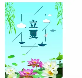 立夏荷花天柳树蓝色