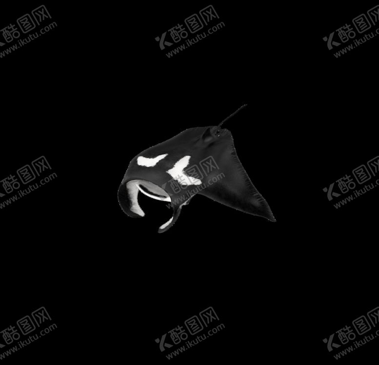 编号：61534310262125519351【酷图网】源文件下载-海洋生物