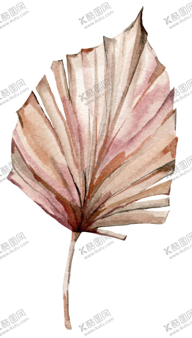 编号：82330310181641441758【酷图网】源文件下载-植物花朵装饰图案