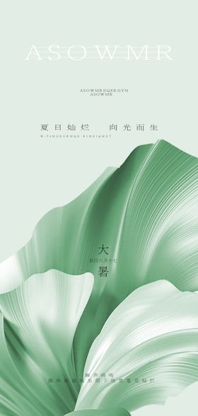 大暑地产节气海报二十四荷叶极简