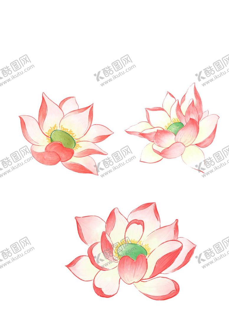 编号：91765512010823365593【酷图网】源文件下载-荷花素材
