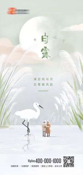 康养白露节气海报