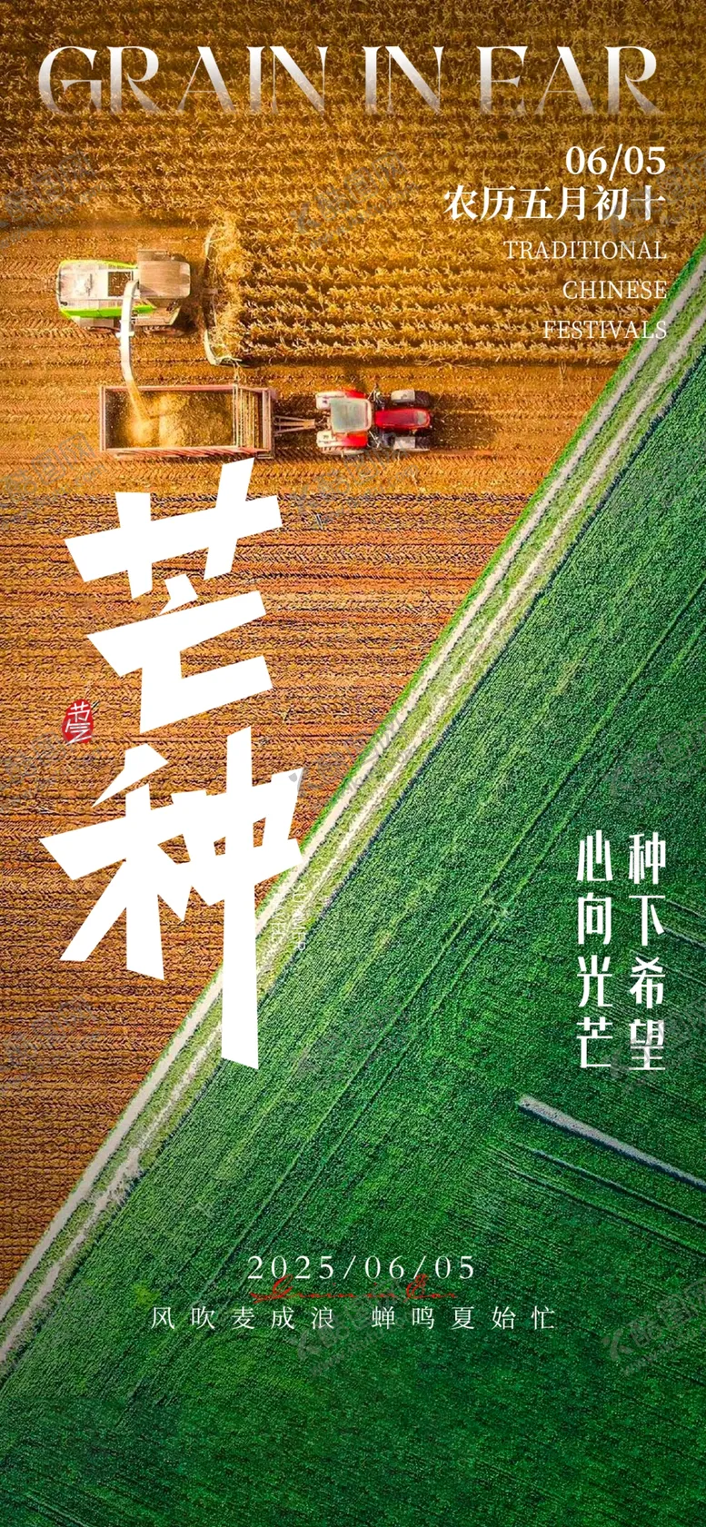 编号：70288406300439258750【酷图网】源文件下载-芒种二十四节气地产海报