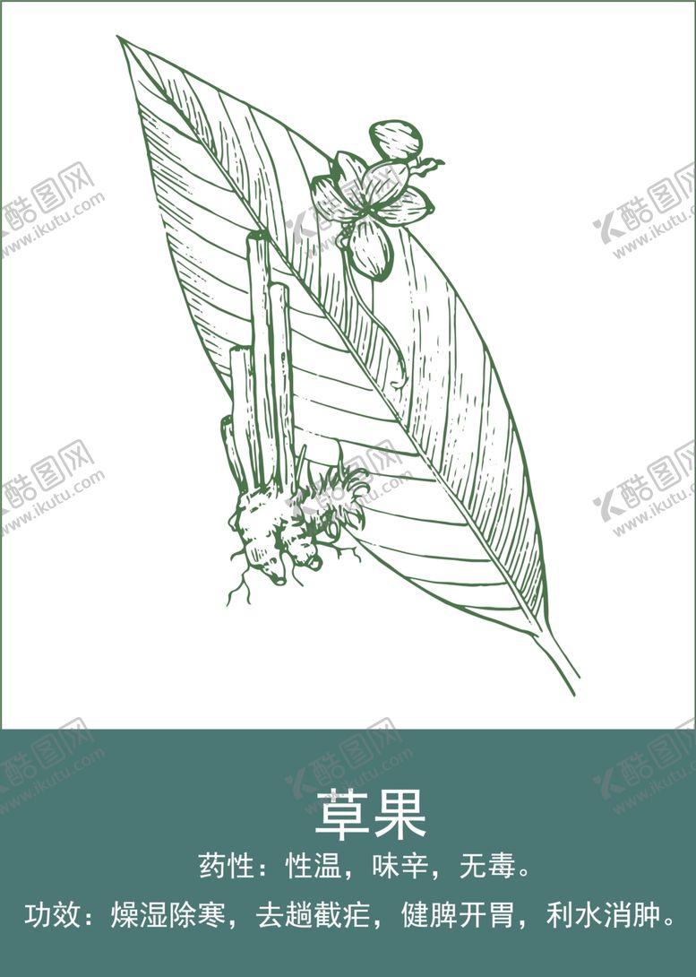 编号：66677701140934446025【酷图网】源文件下载-中药手绘插画