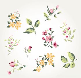 花朵
