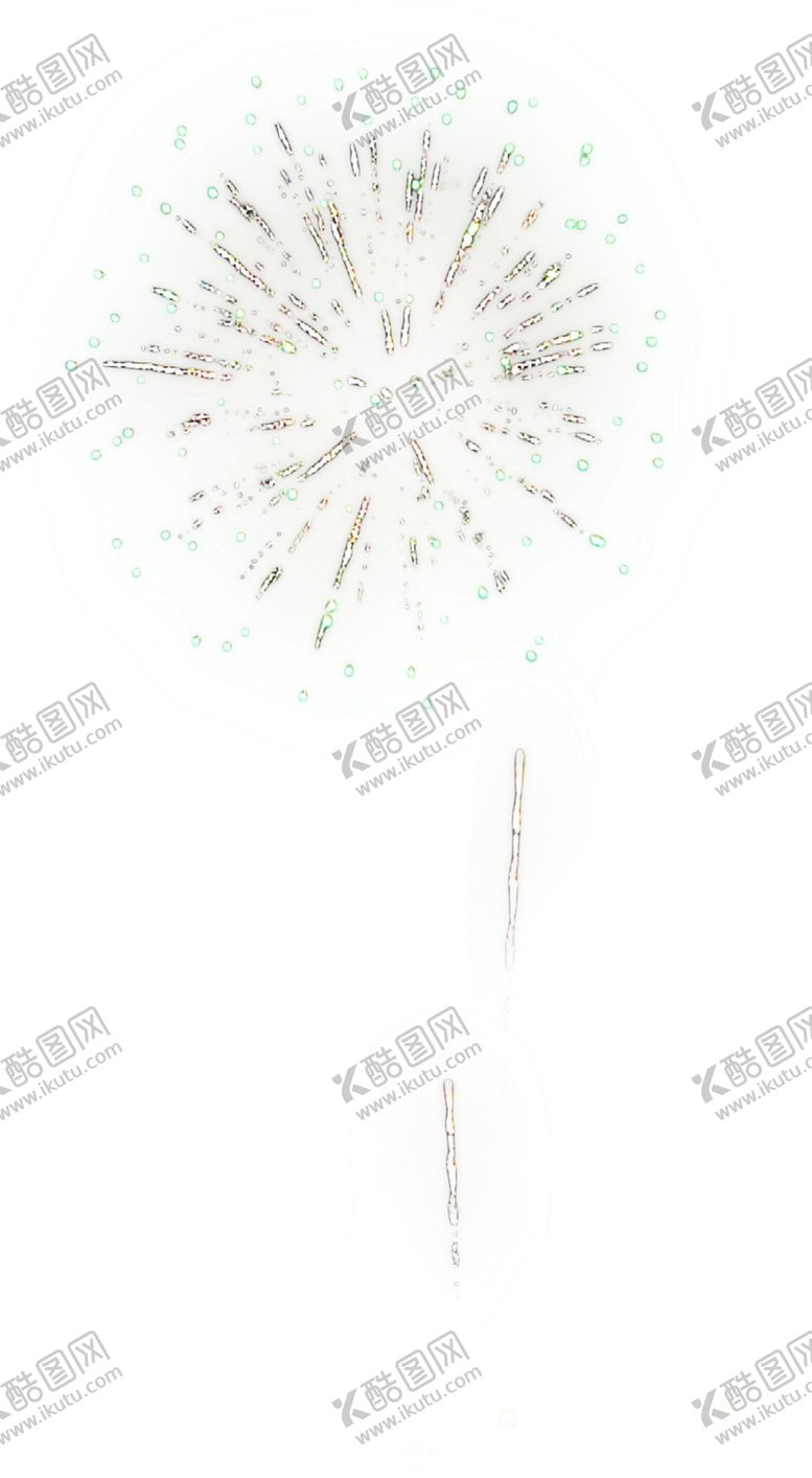 编号：10490303191931586458【酷图网】源文件下载-烟花