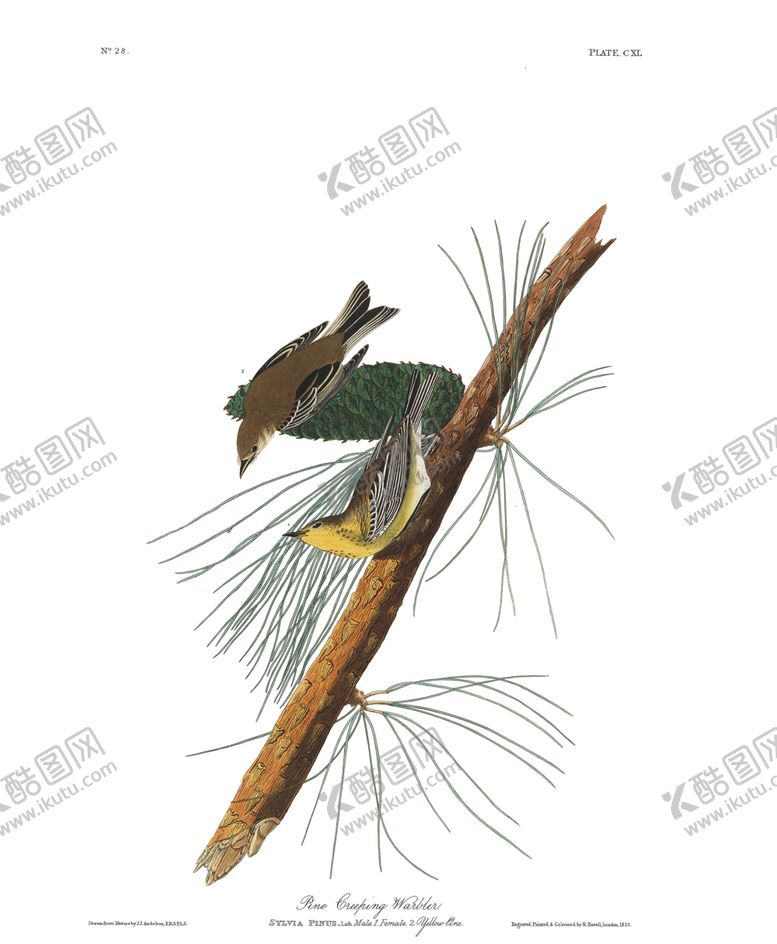 编号：33958312071417186836【酷图网】源文件下载-油画