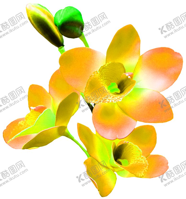 编号：80344710081329473102【酷图网】源文件下载-花素材