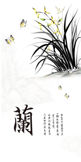 热带兰花