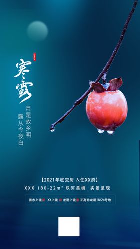 寒露节气节气海报海报