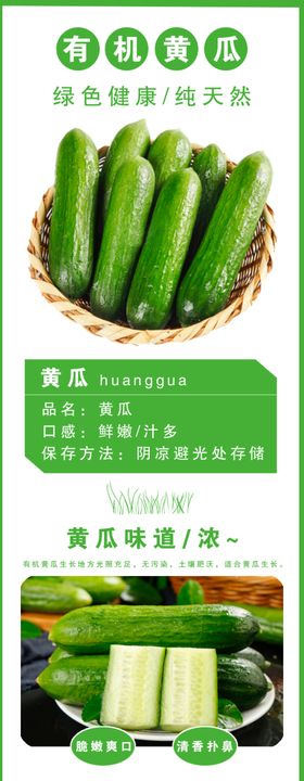 有机黄瓜设计