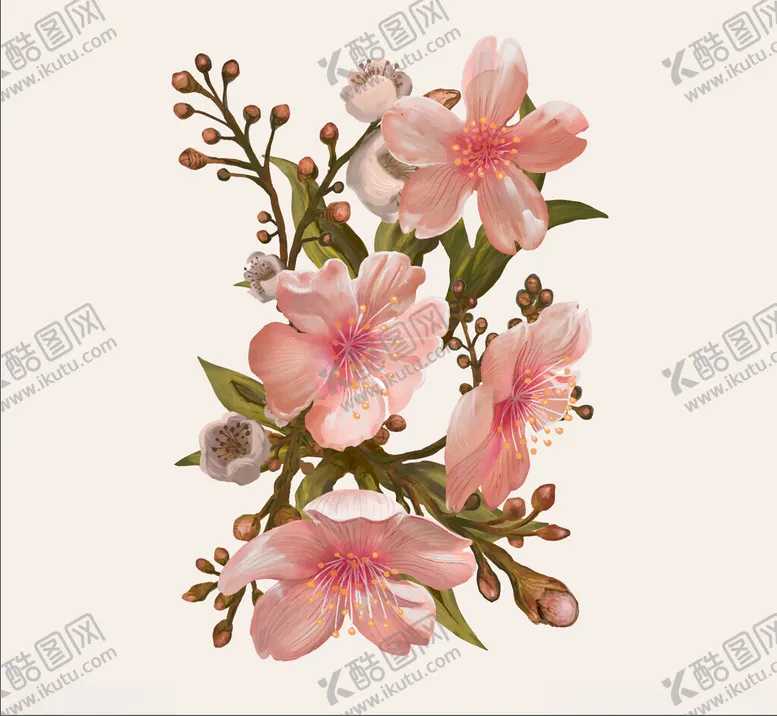 编号：30637402242000341082【酷图网】源文件下载-桃花花卉插图矢量素材