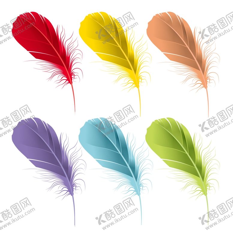 编号：62989709190004332223【酷图网】源文件下载-彩色羽毛
