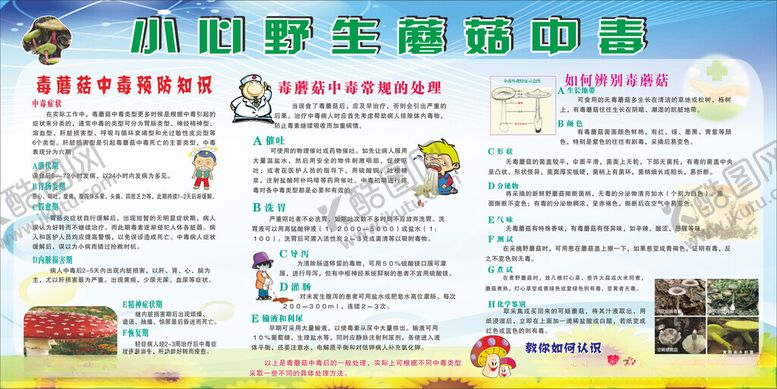 编号：20799911181624393312【酷图网】源文件下载-野生蘑菇知识宣传