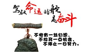奋斗命运