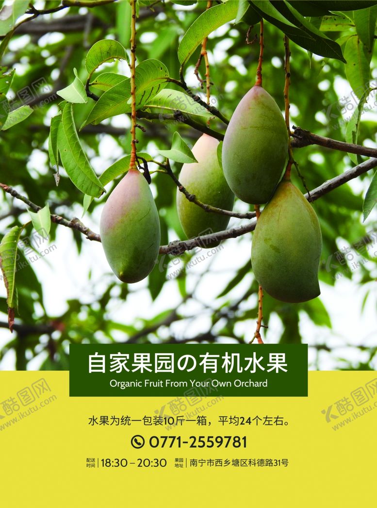 编号：99815003280427263076【酷图网】源文件下载-芒果DM单