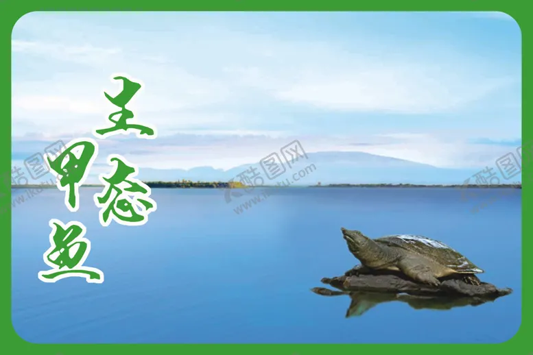 编号：96834109200136336205【酷图网】源文件下载-水鱼馆灯箱海报