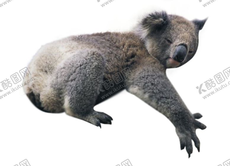 编号：87233409210446151160【酷图网】源文件下载-考拉