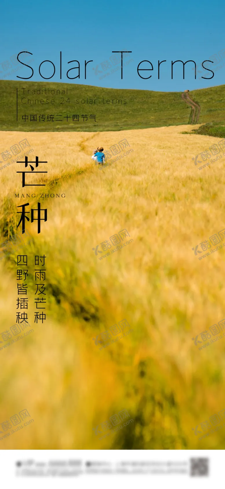 编号：19882012061155025942【酷图网】源文件下载-芒种节气海报