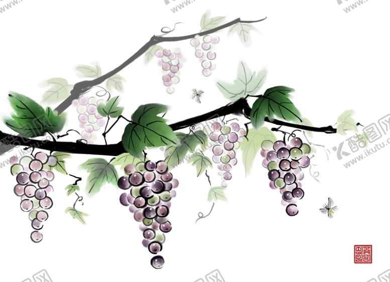 编号：78718410072154205363【酷图网】源文件下载-水墨葡萄