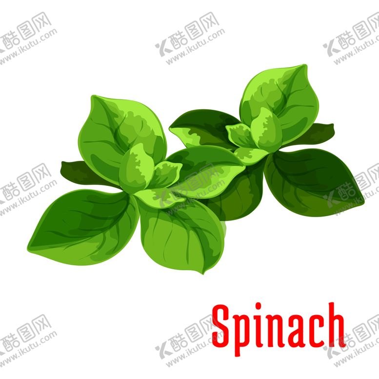 编号：81025609132030391897【酷图网】源文件下载-卡通菠菜