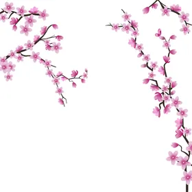 花卉