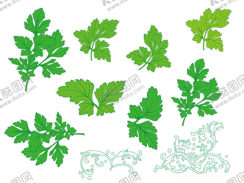 编号：90505904151129377531【酷图网】源文件下载-艾草矢量手绘插画线条