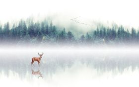 山水画背景墙