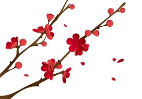 中国风水墨梅