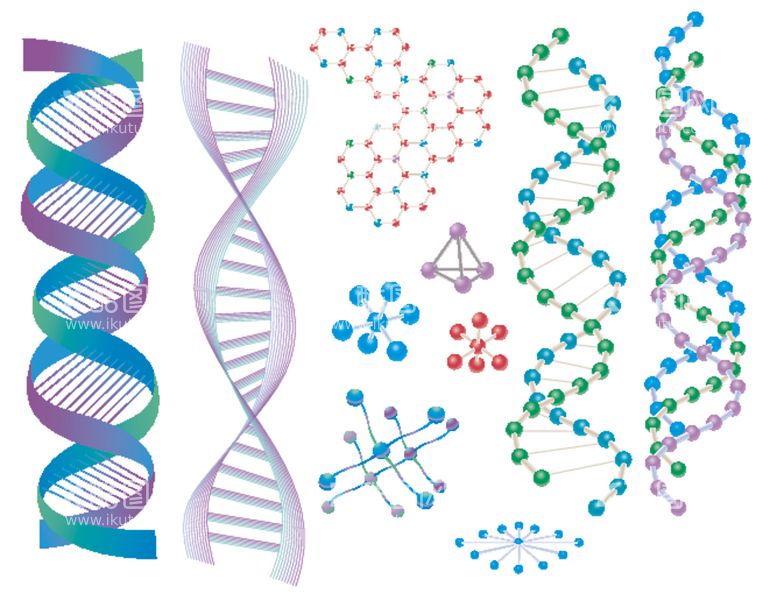 编号：41351912201048592018【酷图网】源文件下载-基因