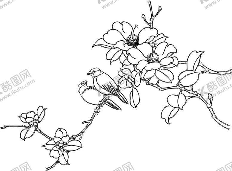 编号：47156801260900304212【酷图网】源文件下载-白描花鸟画
