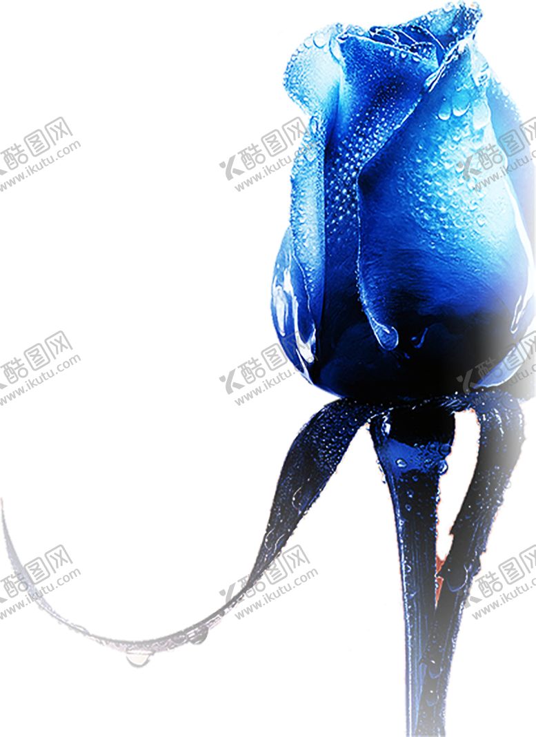 编号：43650106250837022677【酷图网】源文件下载-浪漫素材