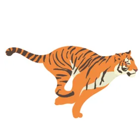 创意老虎插画图案