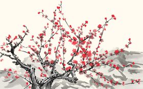 中国风花卉素材