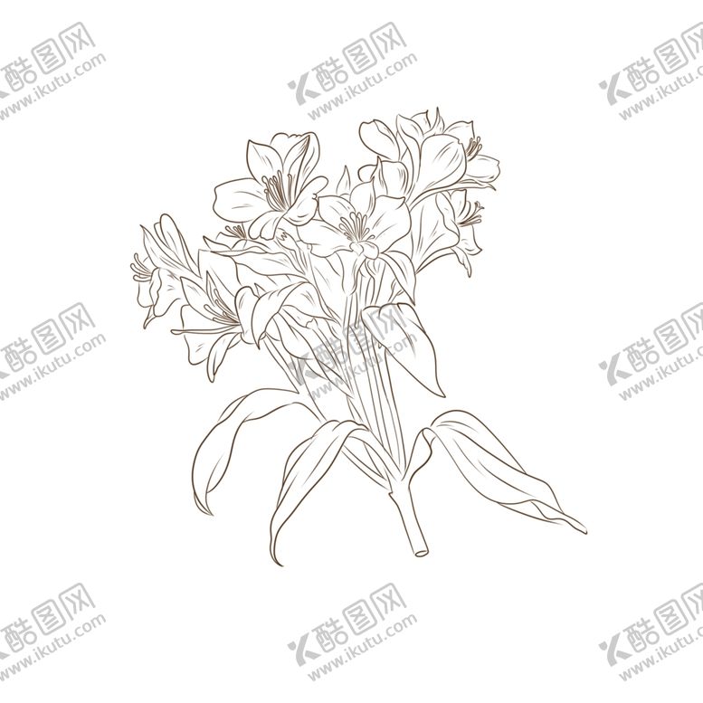 编号：14959010041639533394【酷图网】源文件下载-矢量花