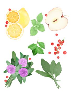手绘水果