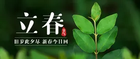 立春手机海报节气海报高端地产中国传统节气