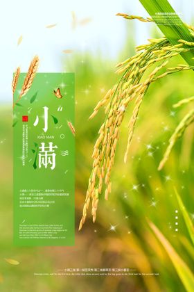 小满传统节气地产广告麦子