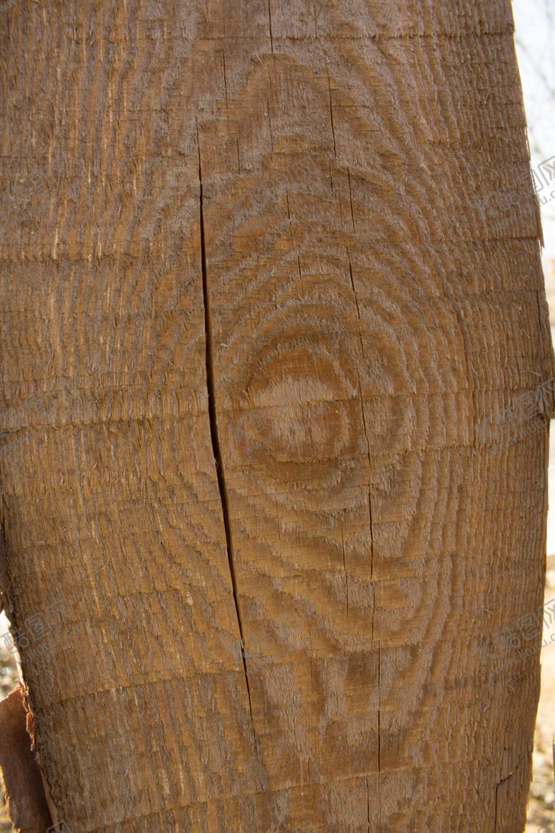 编号：15093605081149056839【酷图网】源文件下载-树皮