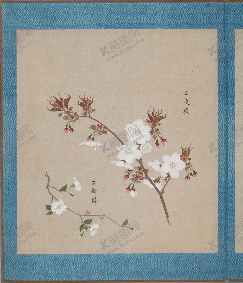 编号：45485404201010042631【酷图网】源文件下载-樱花