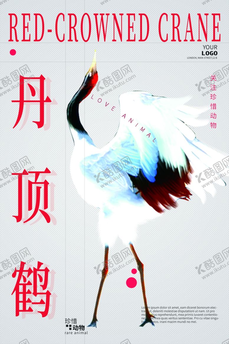 编号：39446109171849314224【酷图网】源文件下载-保护野生动物公益宣传海报素材