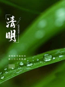 清明节祭奠促销素材