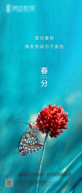 春分节气海报