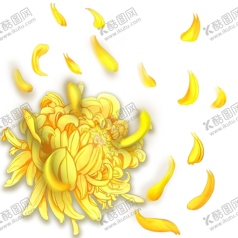编号：68954704200245237345【酷图网】源文件下载-菊花插画