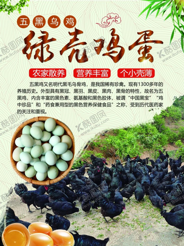 编号：93978802131437229729【酷图网】源文件下载-五黑乌鸡绿壳鸡蛋海报